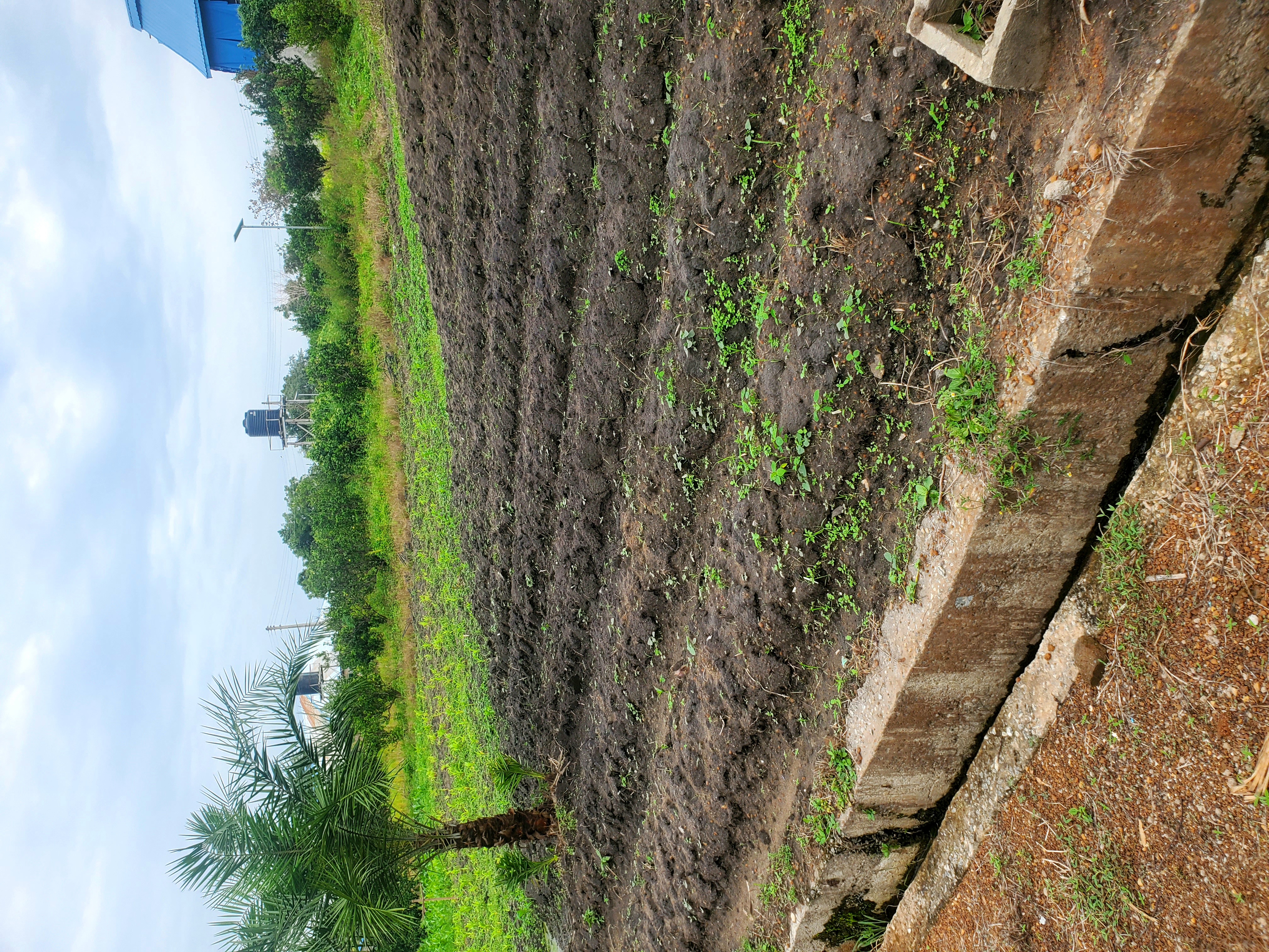 Agricultural background
